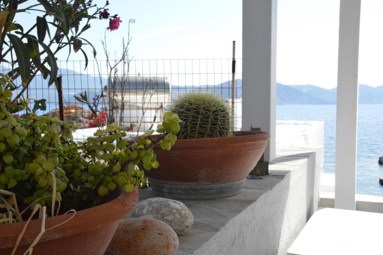 فيلا Thalassophile Eco House Plaka  المظهر الخارجي الصورة